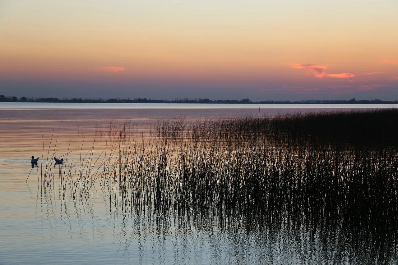 laguna de chascomus