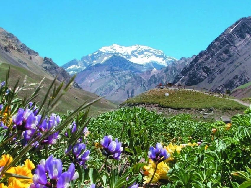 Parque provincial Aconcagua en Mendoza