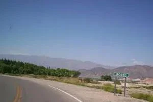 rodeo