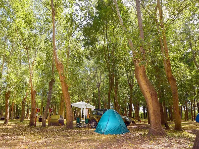 Camping en Mar del Plata