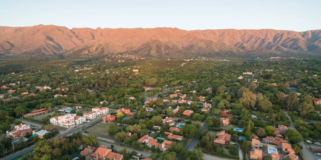 Merlo al atardecer