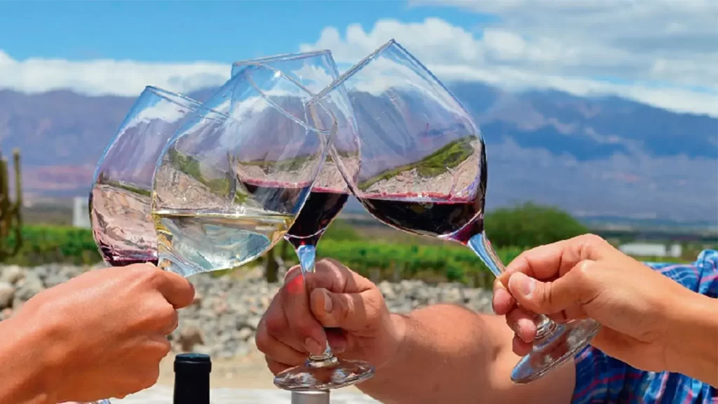 Brindis en un viñedo de Cafayate.