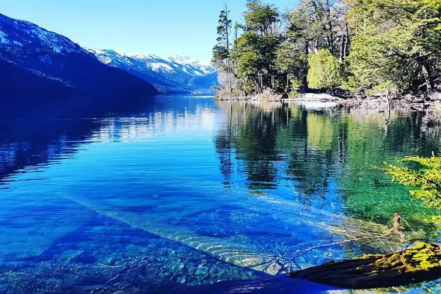 Bosque Sumergido en el lago
