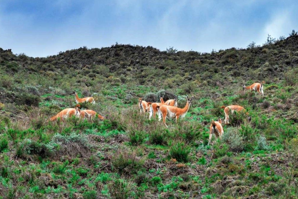 Villavicencio, Mendoza: el paisaje más icónico